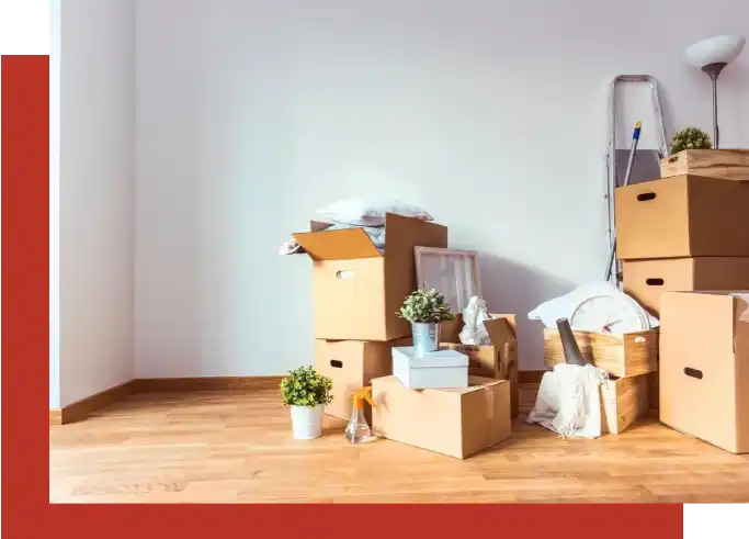 A room with many boxes and plants in it